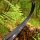 Palas | JACKALOPE Zircon - Carbon/Foam - ILF - 25-50 lbs