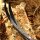 Palas | JACKALOPE Zircon - Espuma - ILF - 24-44 lbs