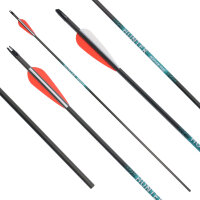 41-55 lbs | [PRECIO] Flecha de carbono | SPHERE Hunter Pro - con plumas | Spine 400 | 32 pulgadas
