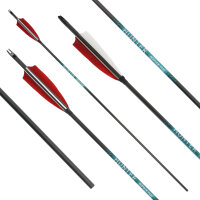 41-55 lbs | [PRECIO] Flecha de carbono | SPHERE Hunter Pro - con plumas naturales | Spine 400 | 32 pulgadas