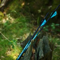[Bestseller] Flecha completa [SPHERE Hunter Pro - Carbono