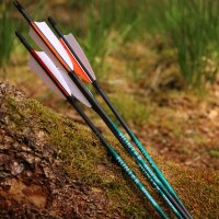 [Bestseller] Flecha completa [SPHERE Hunter Pro - Carbono