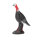 FRANZBOGEN - Pavo de pie