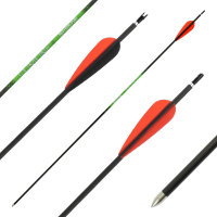26-30 lbs | [SUGERENCIA DE PRECIO] Flecha de carbono |...