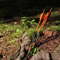 Flecha Completa | PyroSPHERE Slim - Carbono
