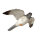 FRANZBOGEN - Halcón peregrino volador