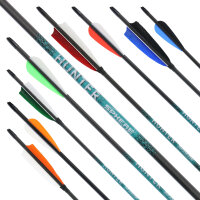 [Value Pack] SPHERE Hunter Pro - Flecha de Carbono