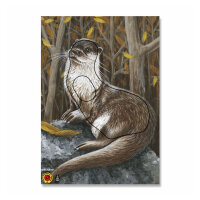 Diana | 2D - Nutria