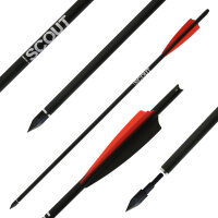 Flechas ballesta de caza | X-BOW FMA Scout - Bodkin -...