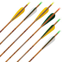 Flecha completa | SKYLON Madera curvada - Carbono -...