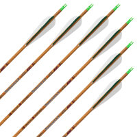 Flecha completa | SKYLON Madera curvada - Carbono - Plumas ex fábrica - paquete de 12