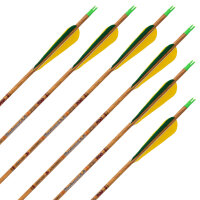 Flecha completa | SKYLON Madera curvada - Carbono - Plumas ex fábrica - paquete de 12