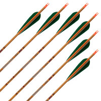 Flecha completa | SKYLON Madera curvada - Carbono - Plumas ex fábrica - paquete de 12
