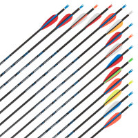 Flecha completa | SKYLON Radius - Carbono - Plumas ex...