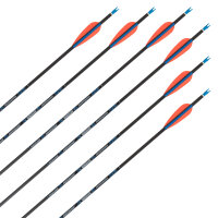 Flecha completa | SKYLON Radius - Carbono - Plumas ex fábrica - Paquete de 12