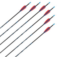 Flecha completa | SKYLON Radius - Carbono - Plumas ex fábrica - Paquete de 12