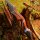 DRAKE ARCHERY ELITE Dark Phoenix - 60 pulgadas - 30-50 lbs - Arco recurvo Take Down