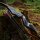 DRAKE ARCHERY ELITE Azul Real - 60 pulgadas - 20-60 lbs - Arco recurvo Take Down