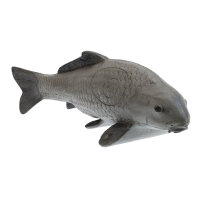 FRANZBOGEN Carpa