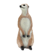 FRANZBOGEN suricata