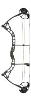 DIAMOND Arco de poleas Infinite 305 (7-70lbs)