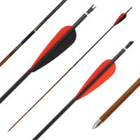 Flecha de carbono | MagnetoSPHERE Slim - con plumas - hasta el 55 lbs