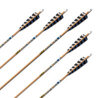 Flecha Completa | GOLD TIP Traditional XT - Carbono
