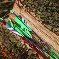 [Vorteilspack] SPHERE Slimline Pro - Carbonpfeil