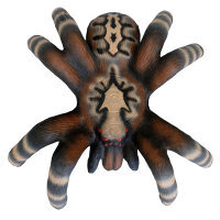 LEITOLD Tarántula pequeña