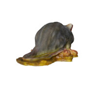 InForm 3D Rata Gris