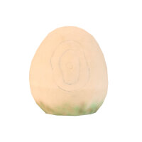 Huevo InForm 3D