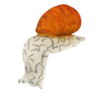 Tornillo InForm 3D