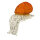 Tornillo InForm 3D