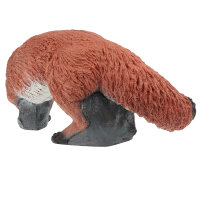FRANZBOGEN castaño macho