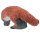 FRANZBOGEN castaño macho