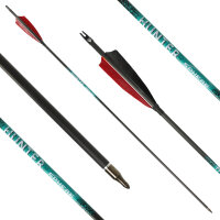 26-30 lbs | [PRECIO] Flecha de carbono | SPHERE Hunter...