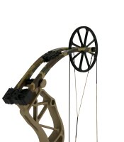 BEAR ARCHERY Arco de poleas Adapt