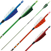 Flecha Completa | SPIDERBOWS Raven.One KevTech - 4,2mm -...