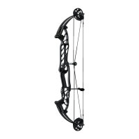 HOYT Stratos 36 HBT - 40-70 lbs - Arco de poleas