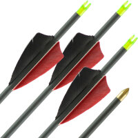 Flecha de carbono | LithoSPHERE Negro - con Plumas naturales | Longitud: 26 pulgadas