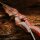 Cuerpo | SPIDERBOWS - Hawk - SWS - 15-21 pulgadas