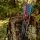 Flecha completa | SPHERE Pioneer 6.2 - Carbono