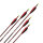 LithoSPHERE Traditional  - Carbon - mit Naturfedern - Spine 1300 | 20 Zoll