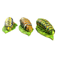 Oruga InForm 3D - diferentes colores