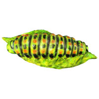 InForm 3D Raupe - verschiedene Farben