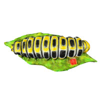 InForm 3D Raupe - verschiedene Farben