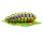 InForm 3D Raupe - verschiedene Farben