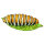 InForm 3D Raupe - verschiedene Farben