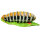 InForm 3D Raupe - verschiedene Farben