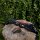 JACKALOPE Zircon - Ultimate - 66-70 pulgadas - 16-50 lbs - ILF - Arco recurvo Take Down